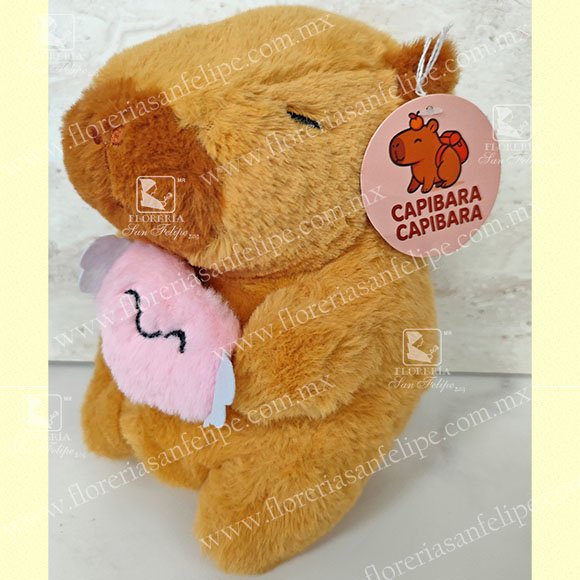 Capibara Con Corazón